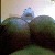 :icontop-heavy: