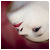 :icontop-model: