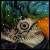 :icontopasdragon: