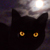 :icontopazcatseye:
