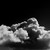 :icontopazstallion: