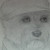 :icontopdog500: