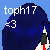 :iconToph17: