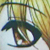 :icontopihyde: