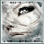 :icontopmodele: