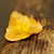 :icontopsecret: