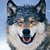 :icontora-ookami: