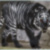 :icontora-the-blur: