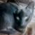 :icontora0415: