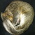 :icontora2tiger: