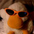 :icontorachibichan: