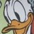 :icontorak49: