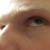 :icontord-the-toad: