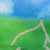 :icontordek131: