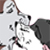 :icontoriacheshirecat: