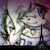 :icontorifan18: