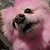 :icontoriicakes: