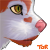 :iconTorikins: