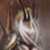 :icontorinoshinsei: