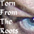 :icontornfromtheroots: