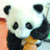 :icontornwhiteshirt: