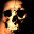 :icontorrac: