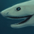 :icontortishell: