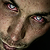 :icontorvon: