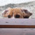 :icontory001: