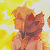 :icontoshiro409: