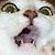 :icontoshiroandthecat: