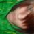 :icontoshxxtragedy:
