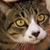 :icontosshii-gawgaw: