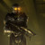 :icontotalalien: