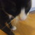 :icontotalcool: