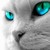 :icontotallycreepedout: