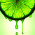 :icontotallygreen: