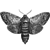 :icontotallyterrorwombat: