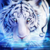 :icontotalmeankittyfan: