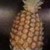 :icontothemasky: