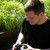 :icontothzoli001: