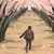 :icontotoy888: