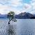 :icontouch-of-gray: