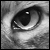 :icontouch-the-sky-0: