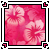 :icontouch0fpink: