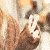 :icontouchingandkissing: