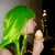 :icontouchmykeyblade92: