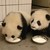 :icontoufupanda: