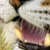 :icontoungy: