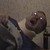 :icontourettesguy-plz:
